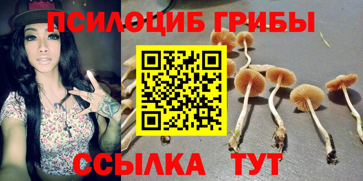 магазин  наркотиков  Галлюциногенные грибы MAGIC MUSHROOMS  Вход с VPN  Менделеевск 