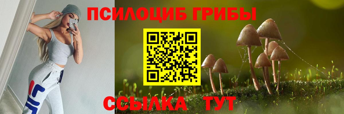 Псилоцибиновые грибы Cubensis Менделеевск